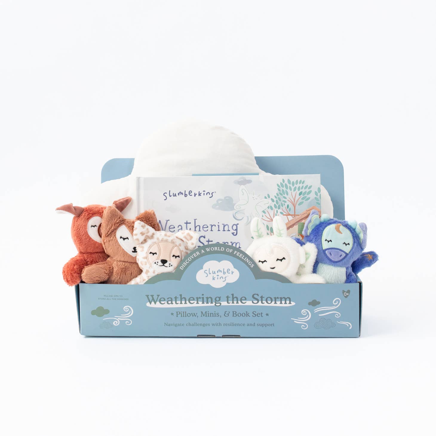 Weathering the Storm Pillow Set