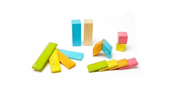 14 Piece Magnetic Wooden Block Set: Tints