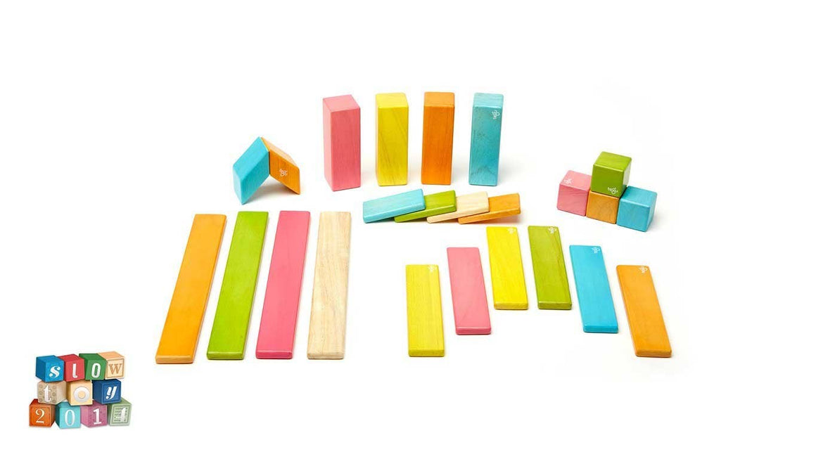 24 Piece Magnetic Wooden Block Set: Tints