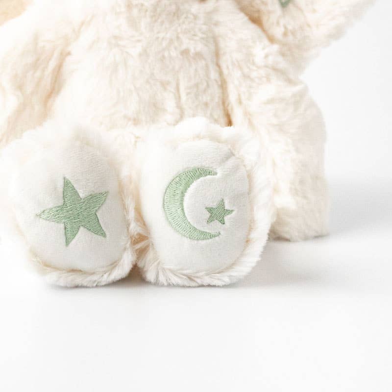 Sprite's Grief & Loss Plush Set - with 2 books!