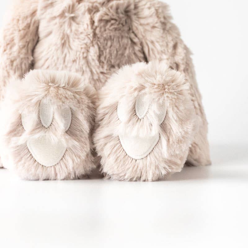 Sloth's Routines Plush Set - with 2 books!