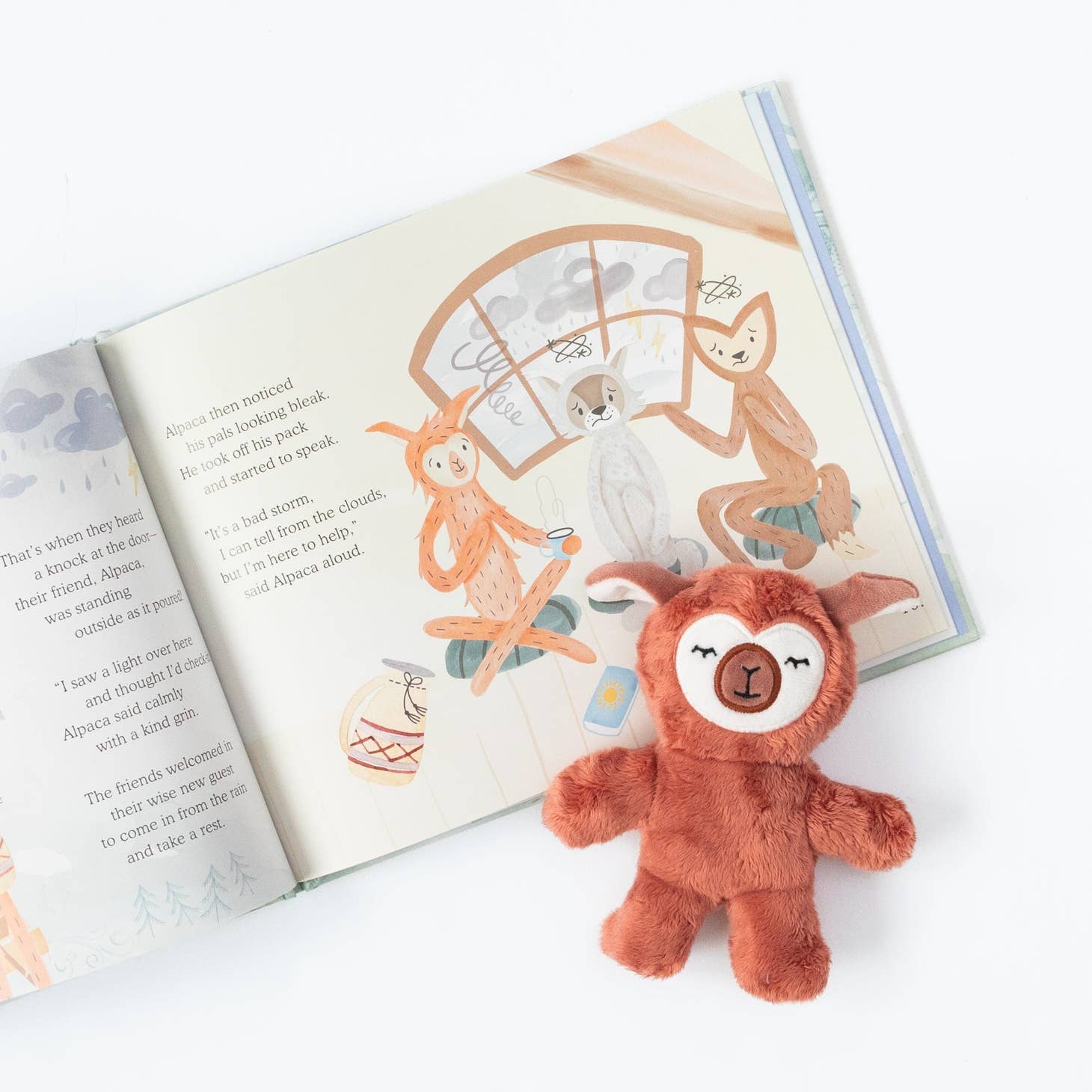 Weathering the Storm Pillow Set