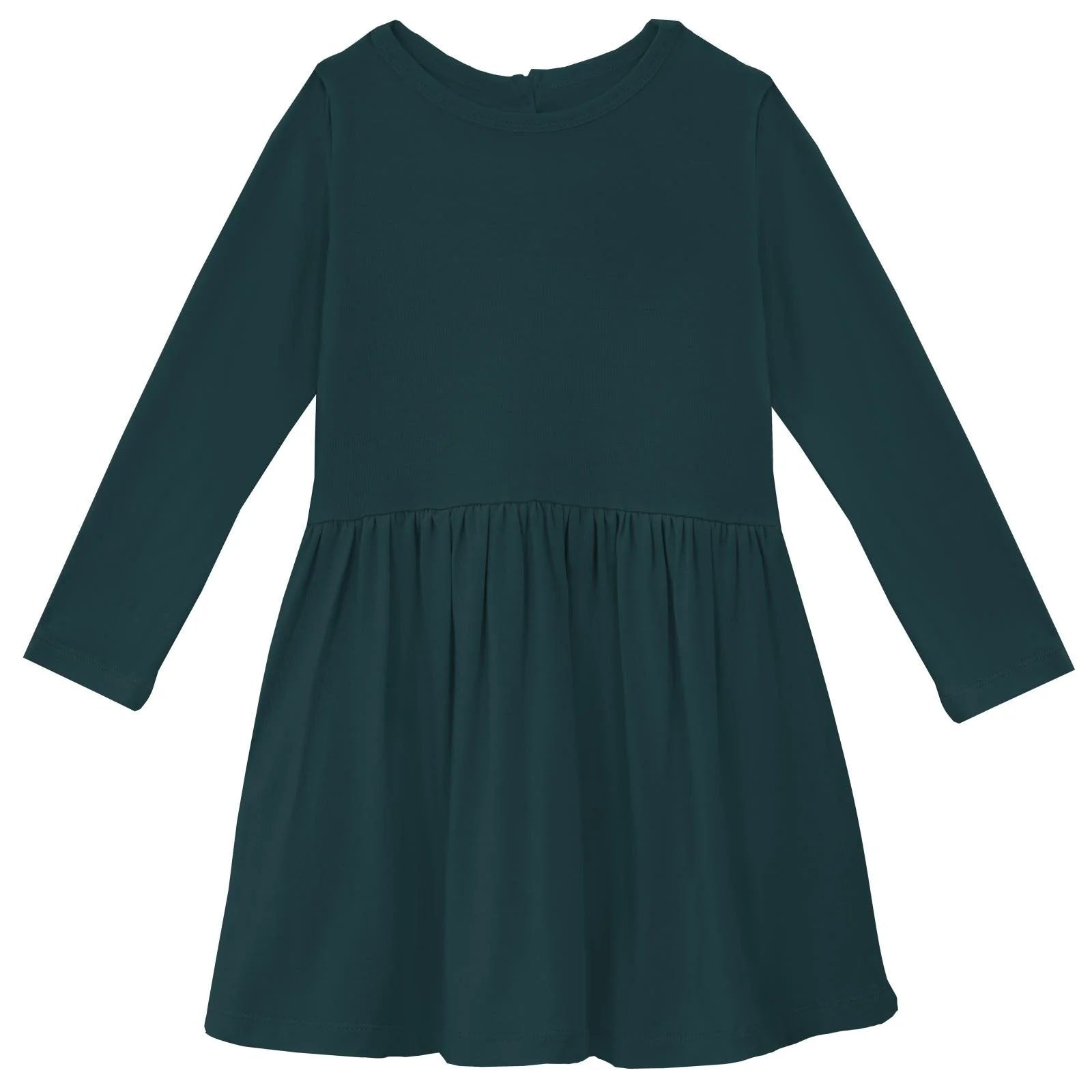 Print Long Sleeve Twirl Dress