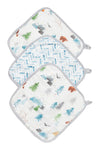 LouLou Lollipop Washcloth 3-piece Set