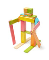 24 Piece Magnetic Wooden Block Set: Tints
