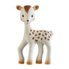 FanFan the Fawn