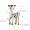 FanFan the Fawn