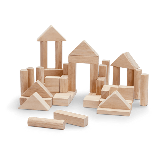 Plan Toys 40-piece Block Set