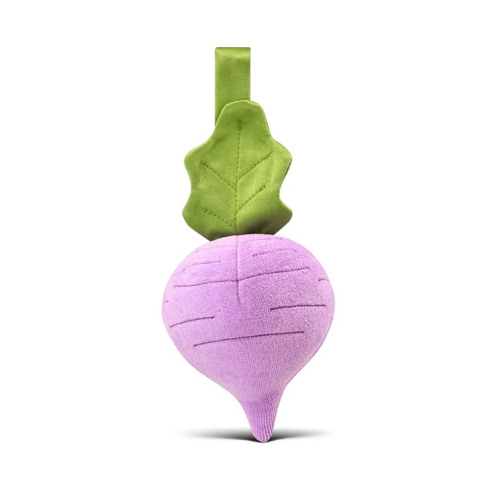 Apple Park Organic Cotton Fruit & Veggie Stroller Toys
